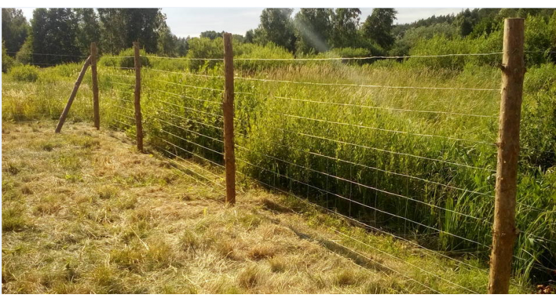 Everything you need to know about the forest grid - the cheapest type of fence