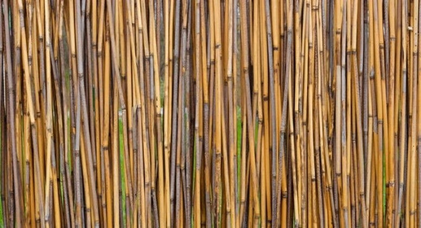 mata-bambusowa-osłaniająca